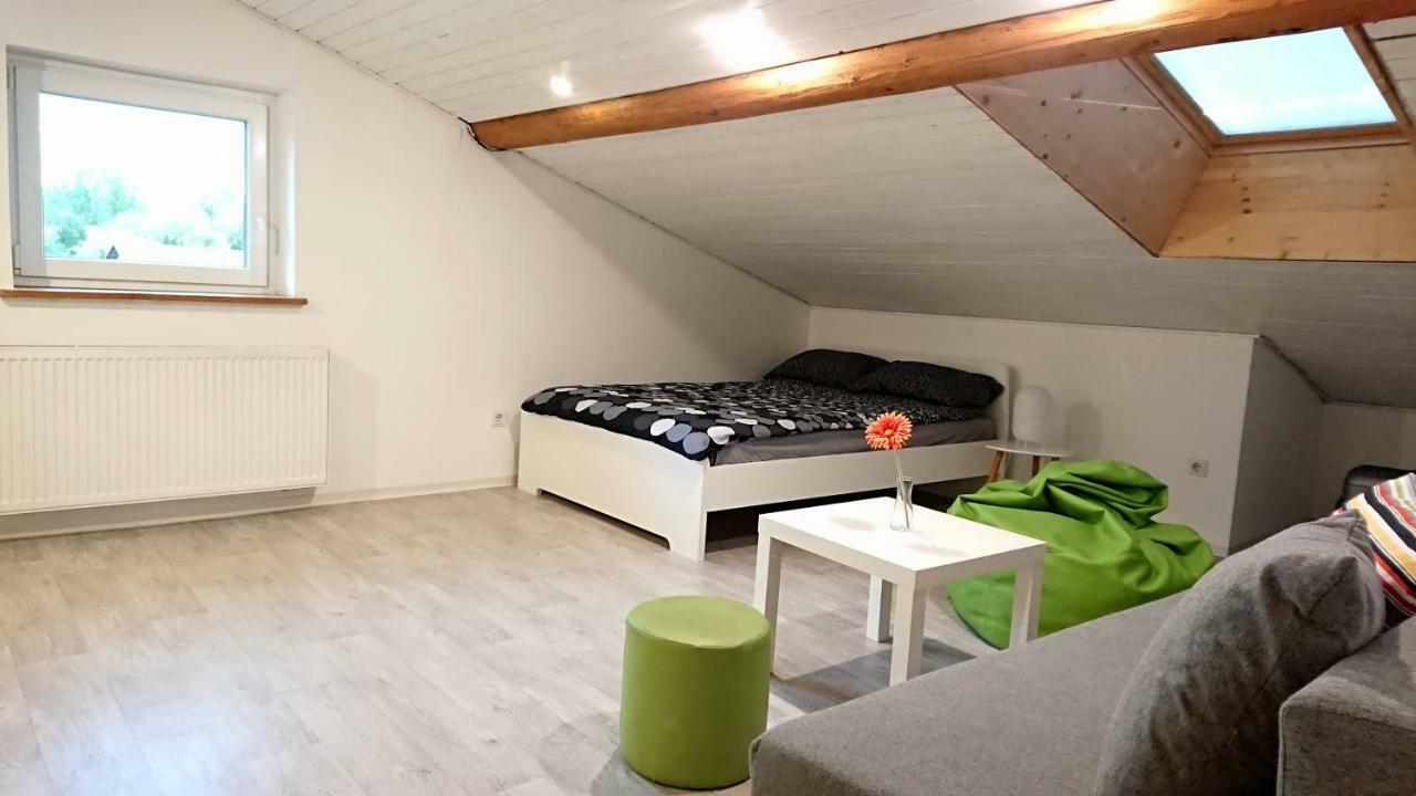 Cosy Apartment リュブリャナ エクステリア 写真